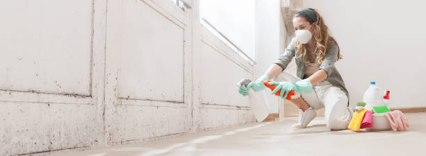 Why You Should Choose Our Mold Remediation Services in Golden Glades, FL